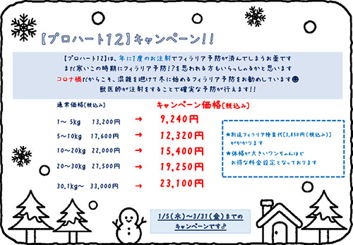 プロハート12キャンペーン