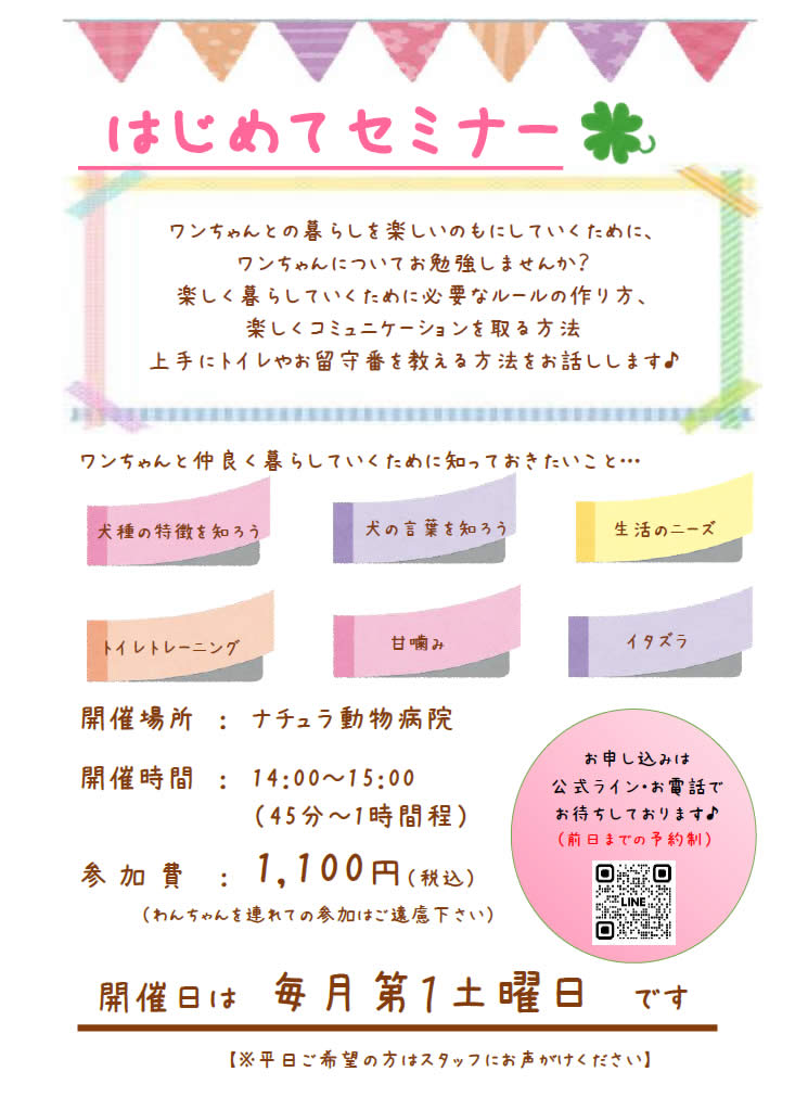 はじめてセミナーのお知らせ